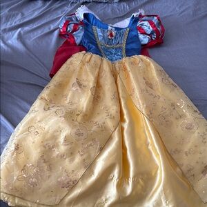 Disney Halloween Costume with Red and Blue Royal Bodice
